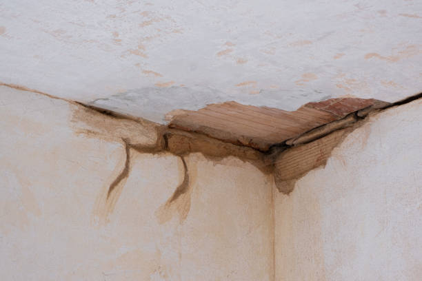 Trusted NM Water damage restoration Experts