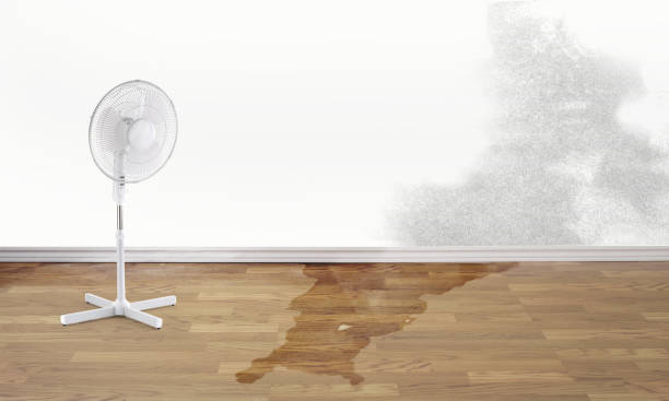 Best Water damage restoration near me  in Church Rock, NM