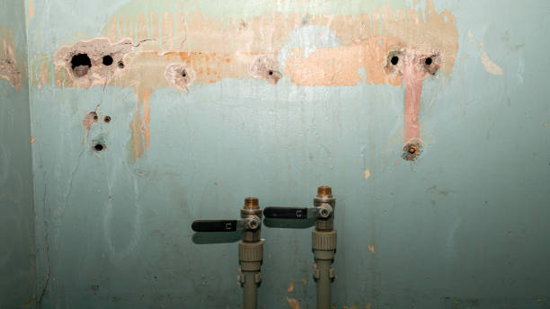 Best Flood damage cleanup  in Church Rock, NM
