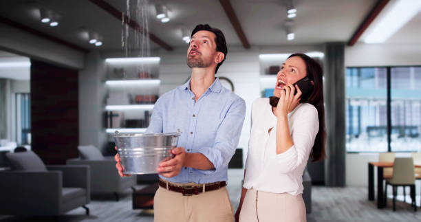 Best Professional water damage repair  in Church Rock, NM