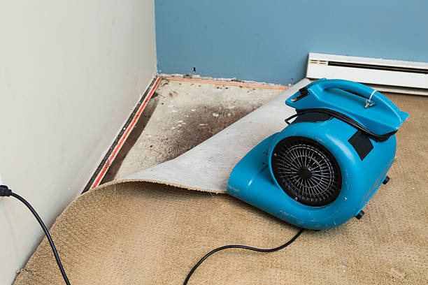 Best Flood damage cleanup  in Church Rock, NM